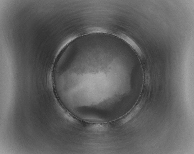 X0000110910806200906251356