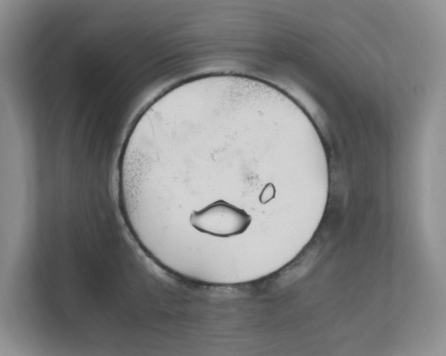 X0000110910807200906251356