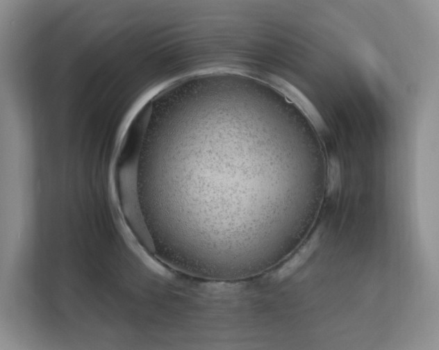 X0000110910812200906251356