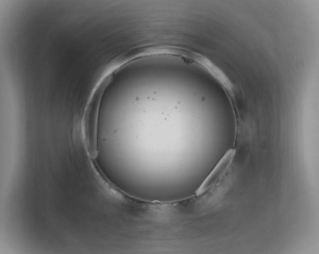 X0000110910813200906251356