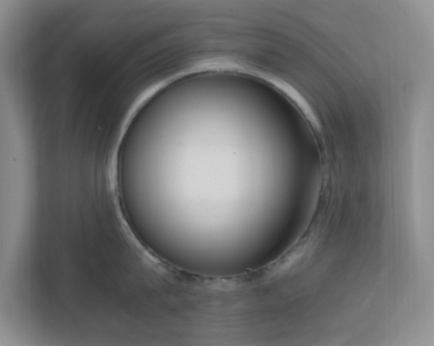 X0000110910815200906251356