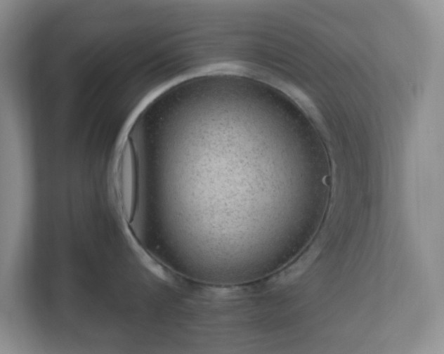 X0000110910816200906251356