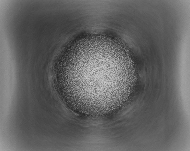 X0000110910817200906251355