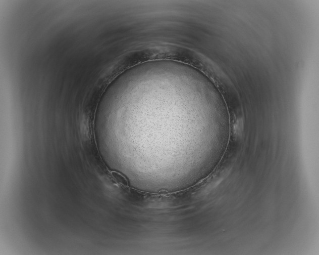 X0000110910819200906251356