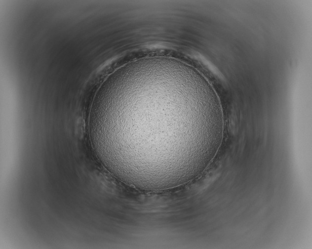 X0000110910821200906251356