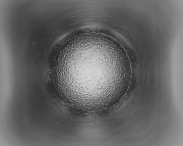 X0000110910822200906251356