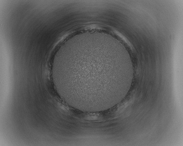 X0000110910823200906251356