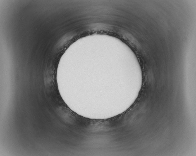 X0000110910824200906251356