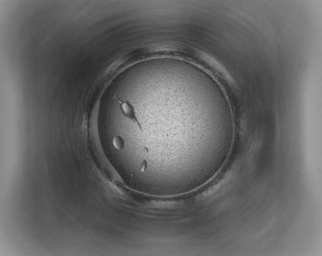 X0000110910825200906251356