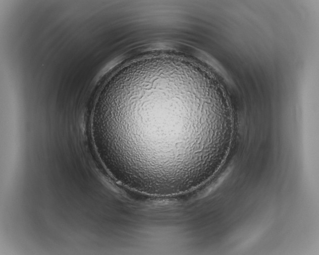 X0000110910826200906251356