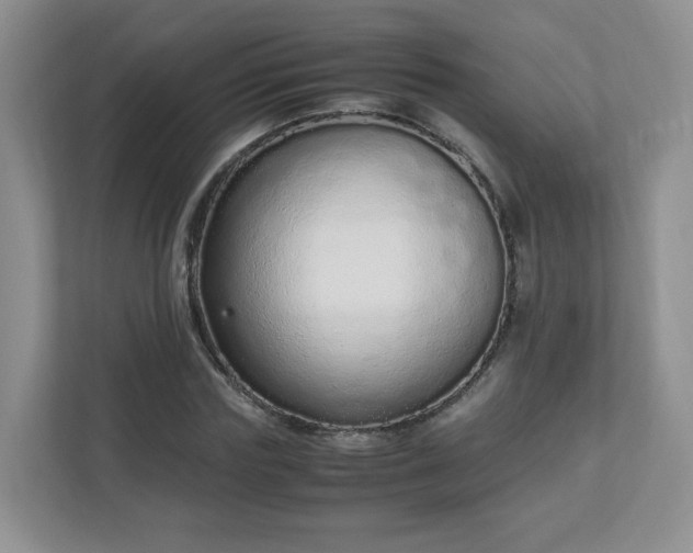 X0000110910827200906251356