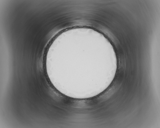 X0000110910828200906251356