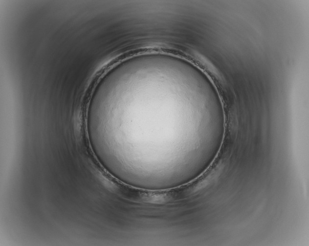 X0000110910831200906251356