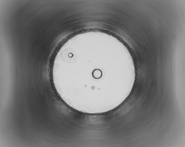 X0000110910832200906251356