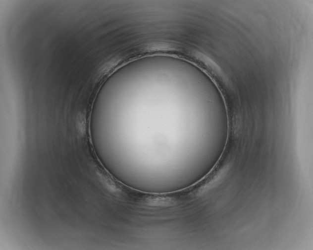 X0000110910833200906251356