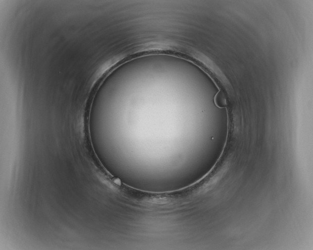 X0000110910834200906251356