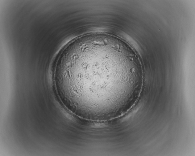 X0000110910835200906251356