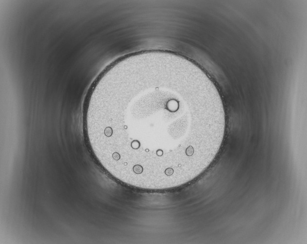 X0000110910836200906251356