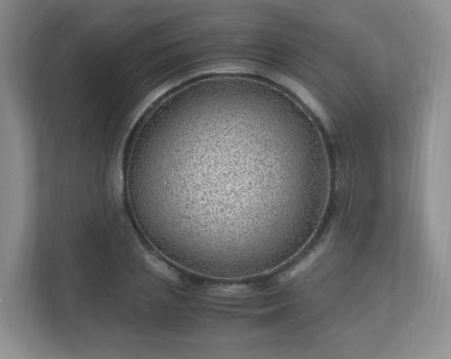 X0000110910837200906251356