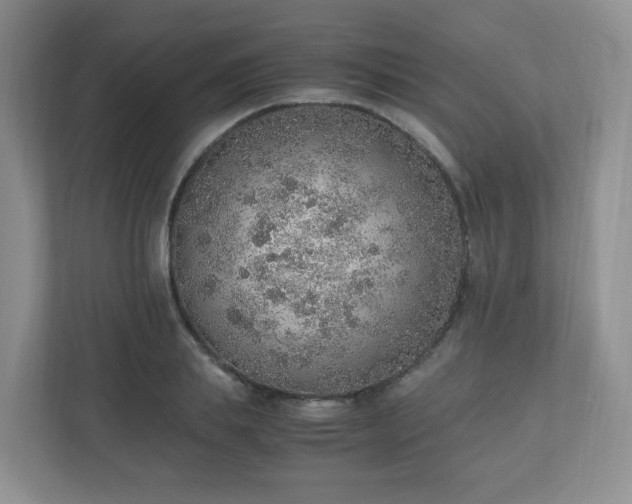 X0000110910839200906251356