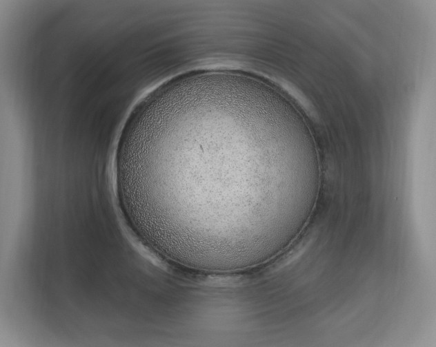 X0000110910840200906251356