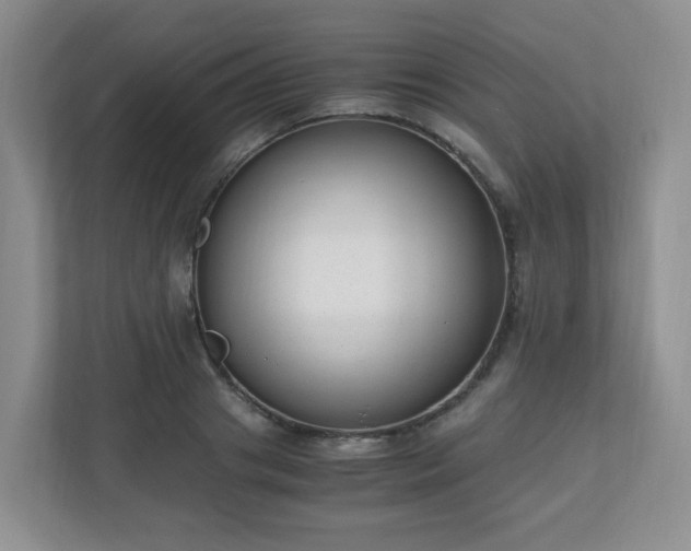 X0000110910841200906251356