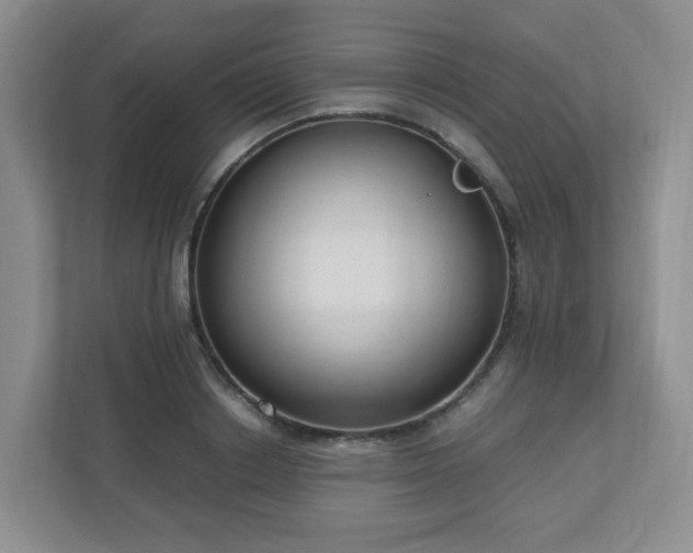 X0000110910842200906251356