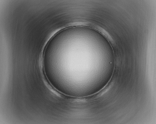 X0000110910844200906251356