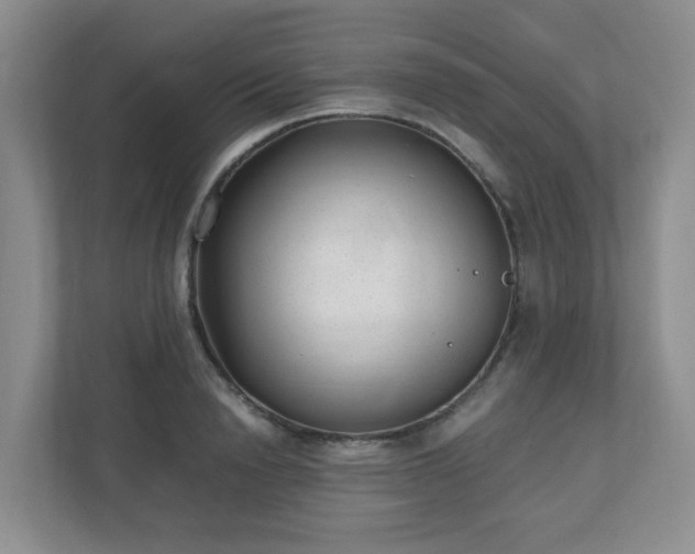 X0000110910846200906251356