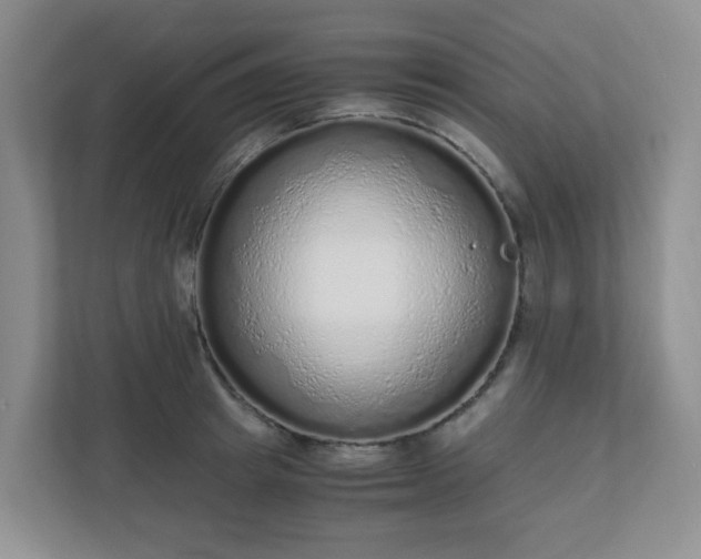 X0000110910849200906251356