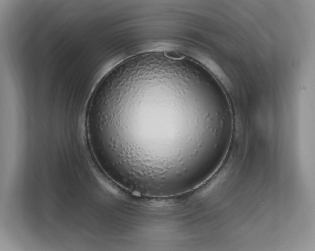 X0000110910850200906251356