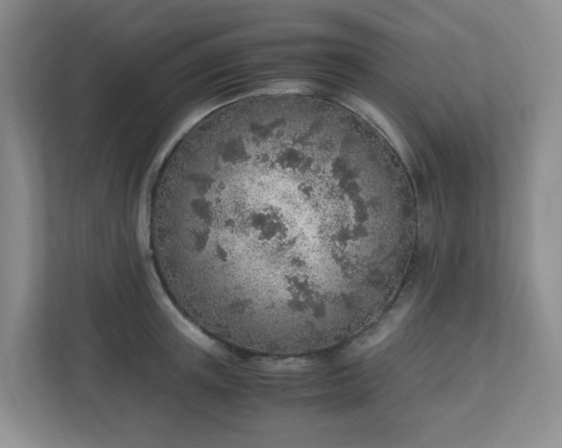 X0000110910851200906251356