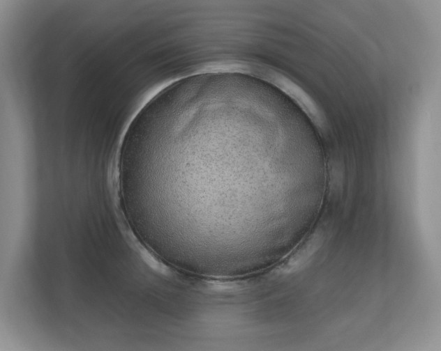 X0000110910852200906251356