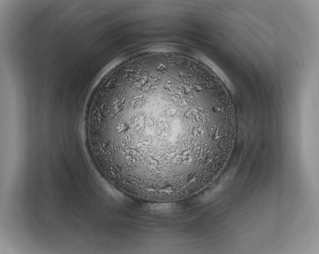 X0000110910853200906251356