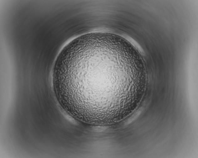 X0000110910854200906251356