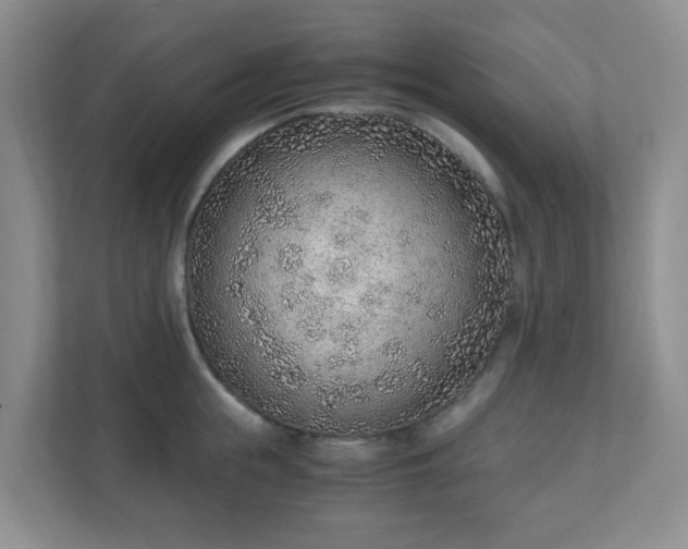 X0000110910855200906251356