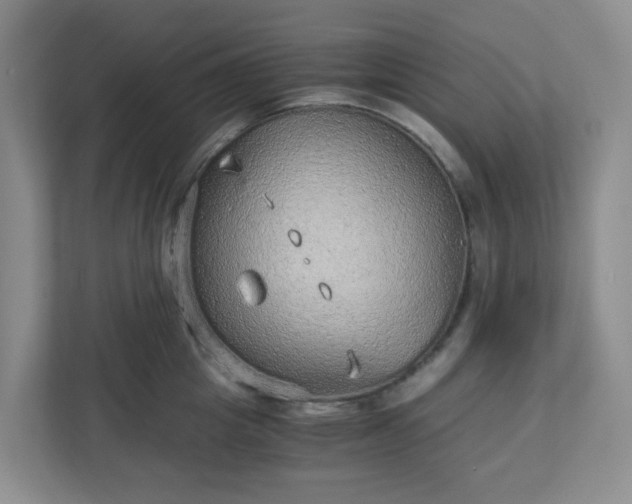 X0000110910857200906251356