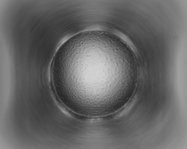 X0000110910858200906251356