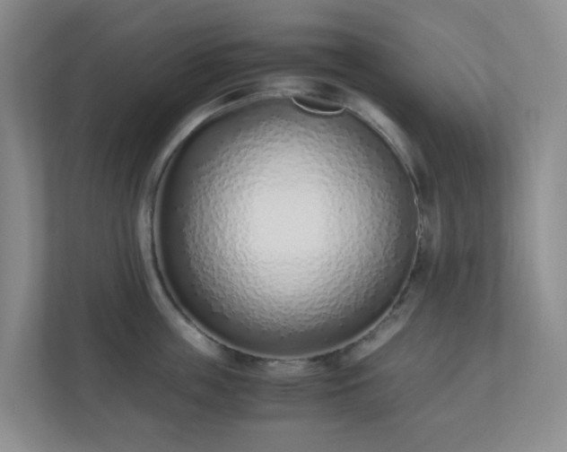 X0000110910859200906251356