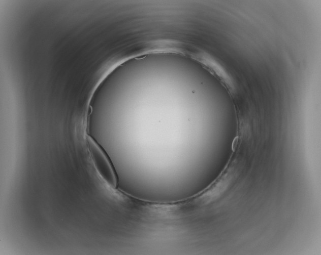 X0000110910860200906251356