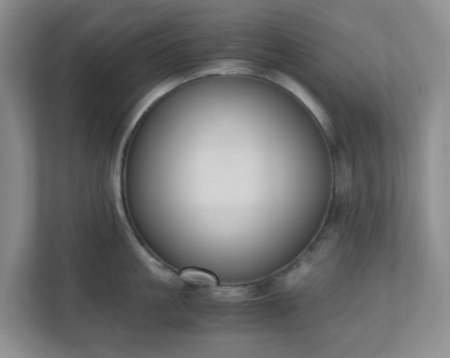 X0000110910861200906251356