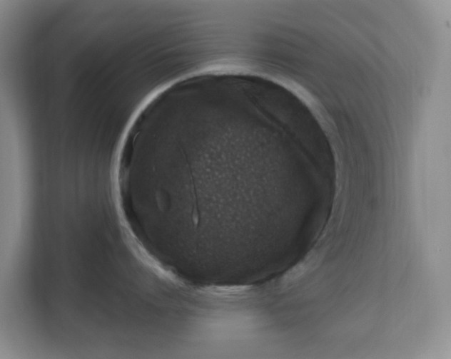 X0000110910864200906251356