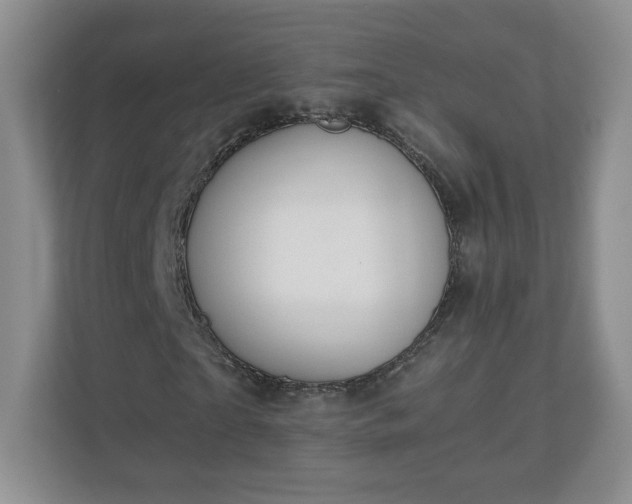 X0000110910865200906251355