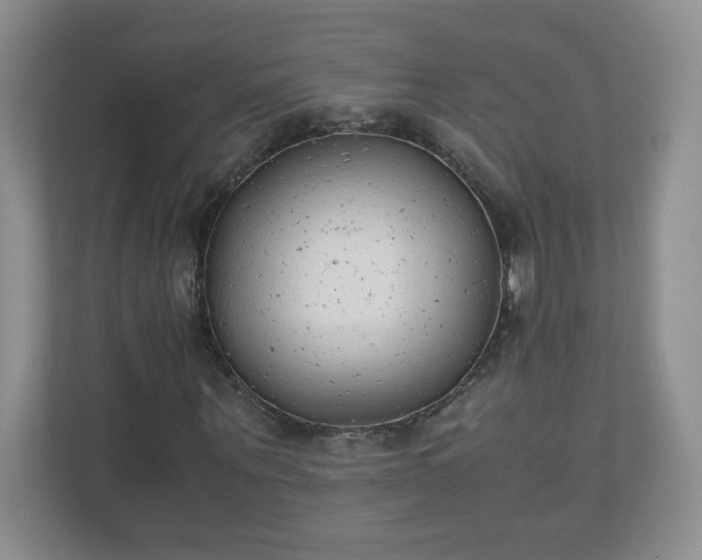 X0000110910867200906251355