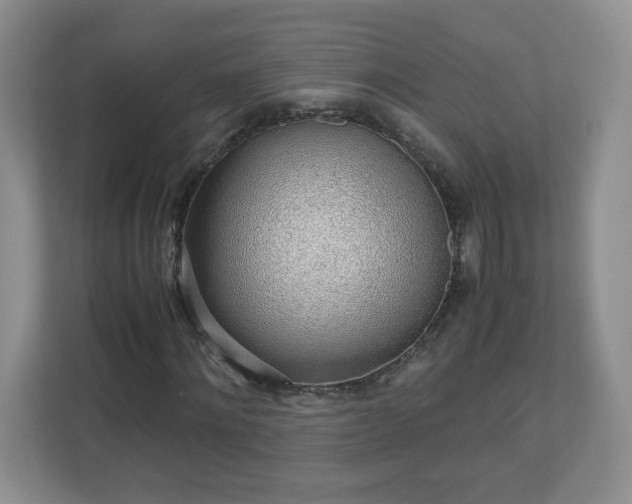 X0000110910868200906251355