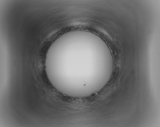 X0000110910869200906251355