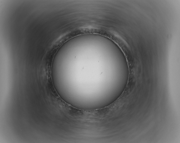 X0000110910870200906251355