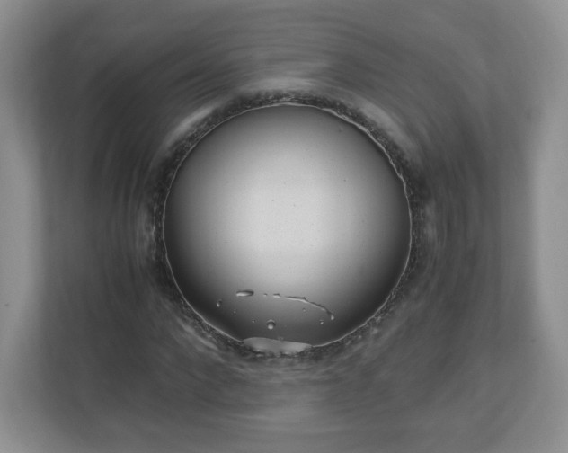 X0000110910872200906251355