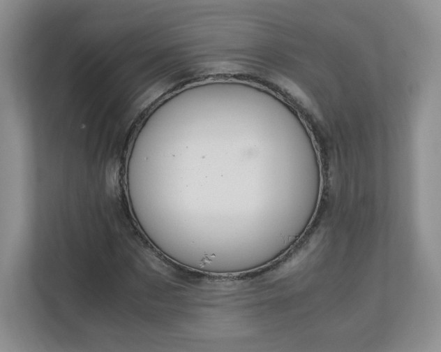 X0000110910873200906251355