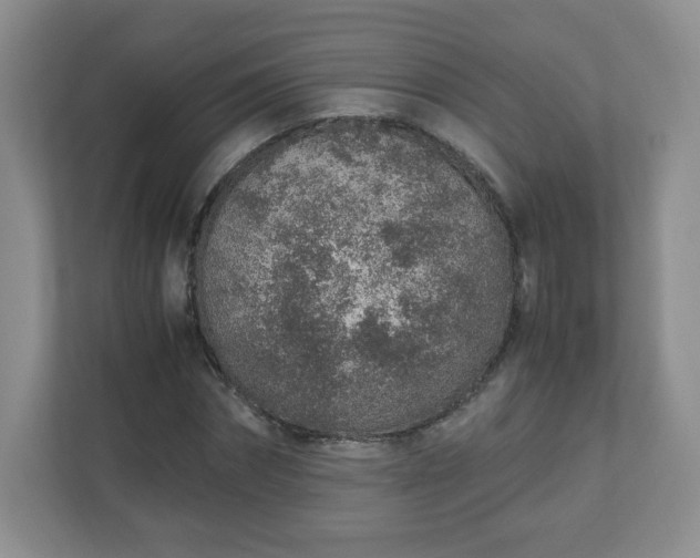 X0000110910874200906251355